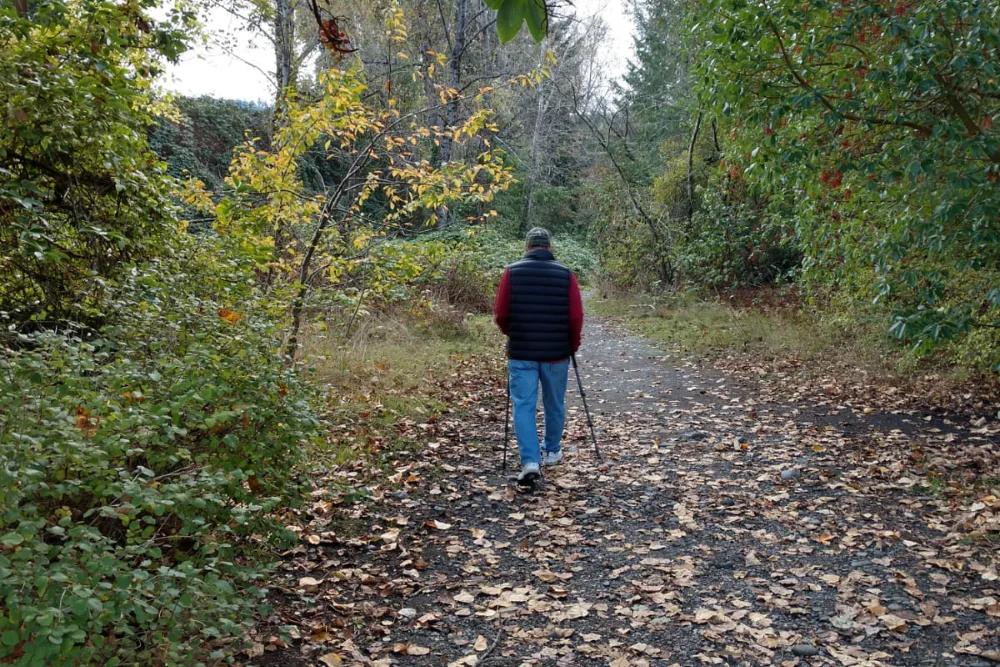 Brief Psychotherapy & Skills Coaching